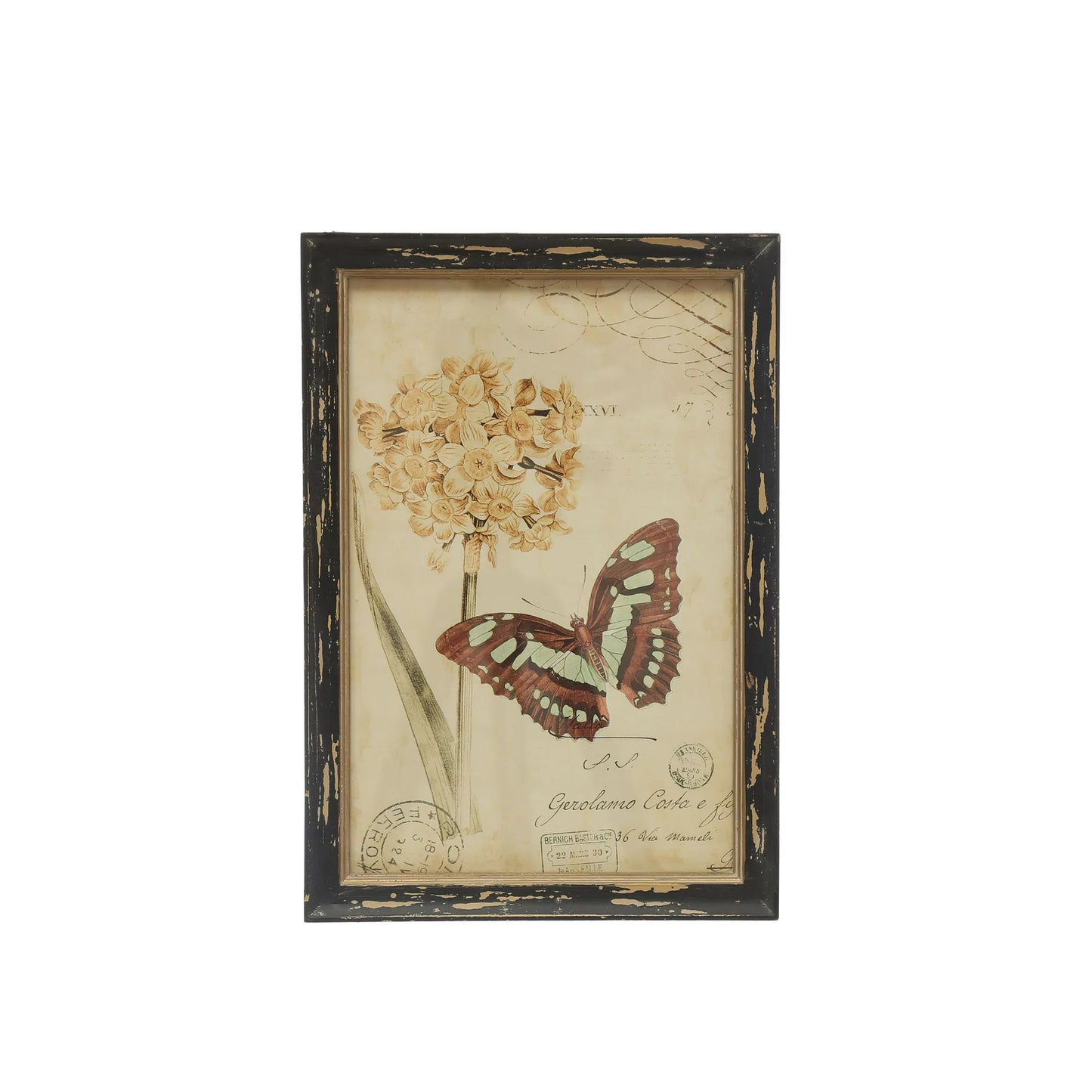 *NEW* Butterfly Wall Décor by Ashland
